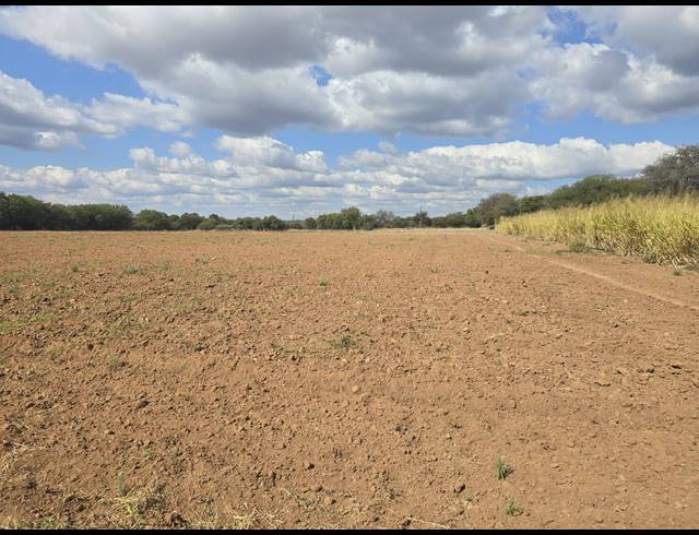 22.40HA FARM FOR SALE IN MOPANE